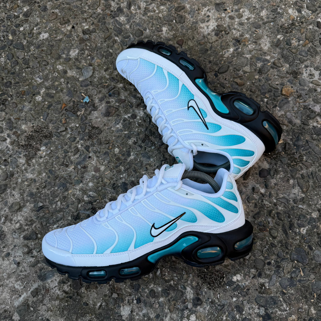 NIKE AIR MAX PLUS TN - DUSTY CACTUS / WHITE