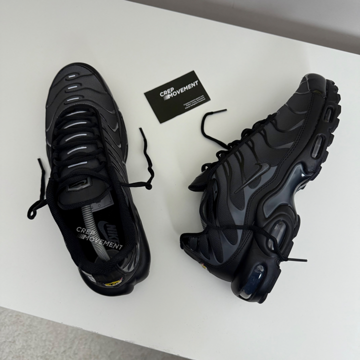 NIKE AIR MAX PLUS TN - METALLIC SMOKES