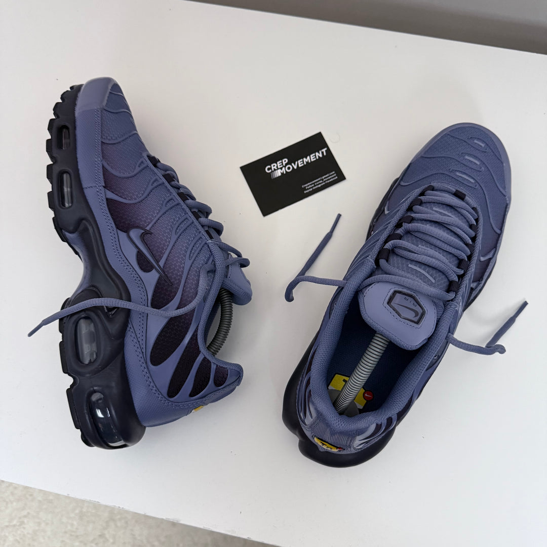 NIKE AIR MAX PLUS TN - INDIGO