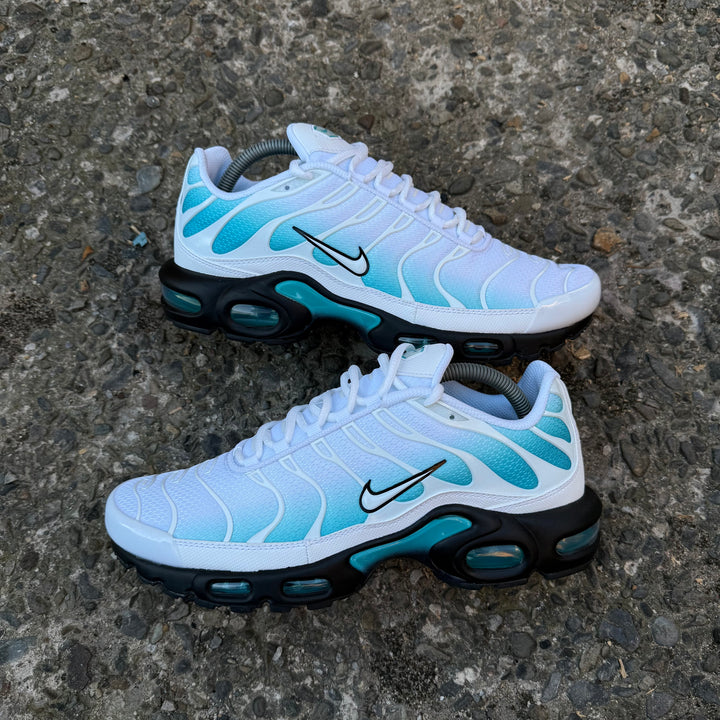 NIKE AIR MAX PLUS TN - DUSTY CACTUS / WHITE