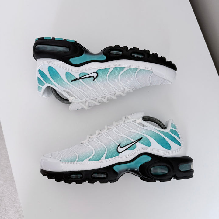 NIKE AIR MAX PLUS TN - DUSTY CACTUS / WHITE