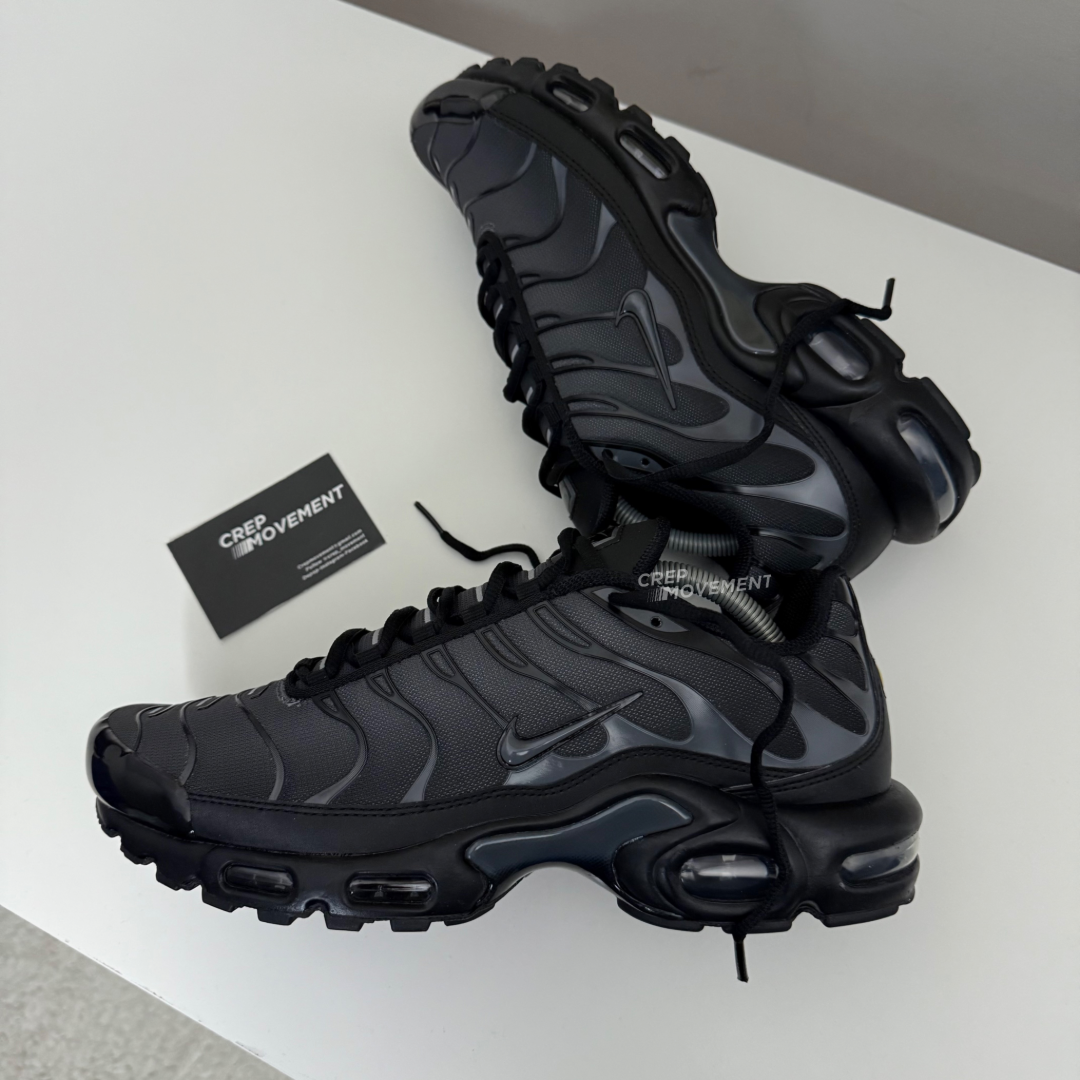 NIKE AIR MAX PLUS TN - METALLIC SMOKES